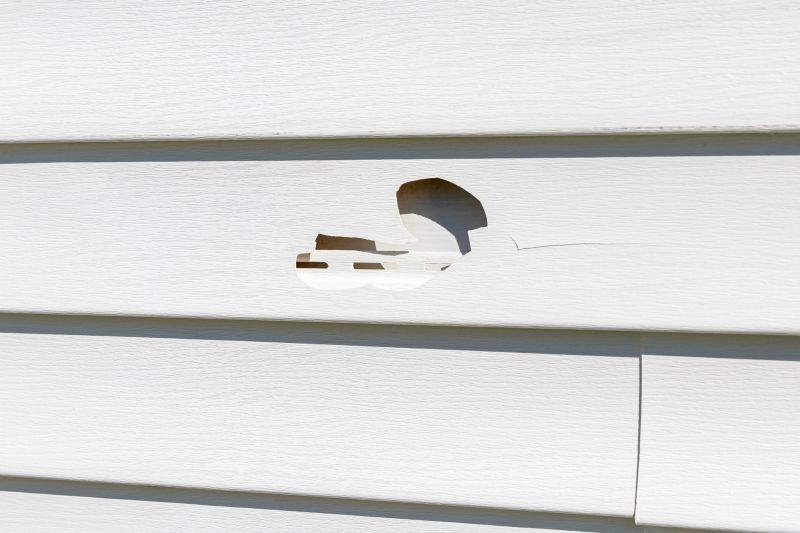 Vinyl Siding Repair Image 12