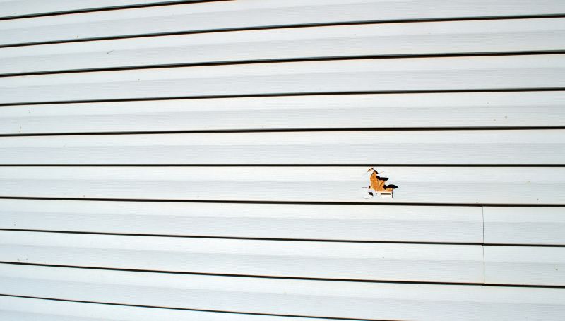 Vinyl Siding Repair Image 5